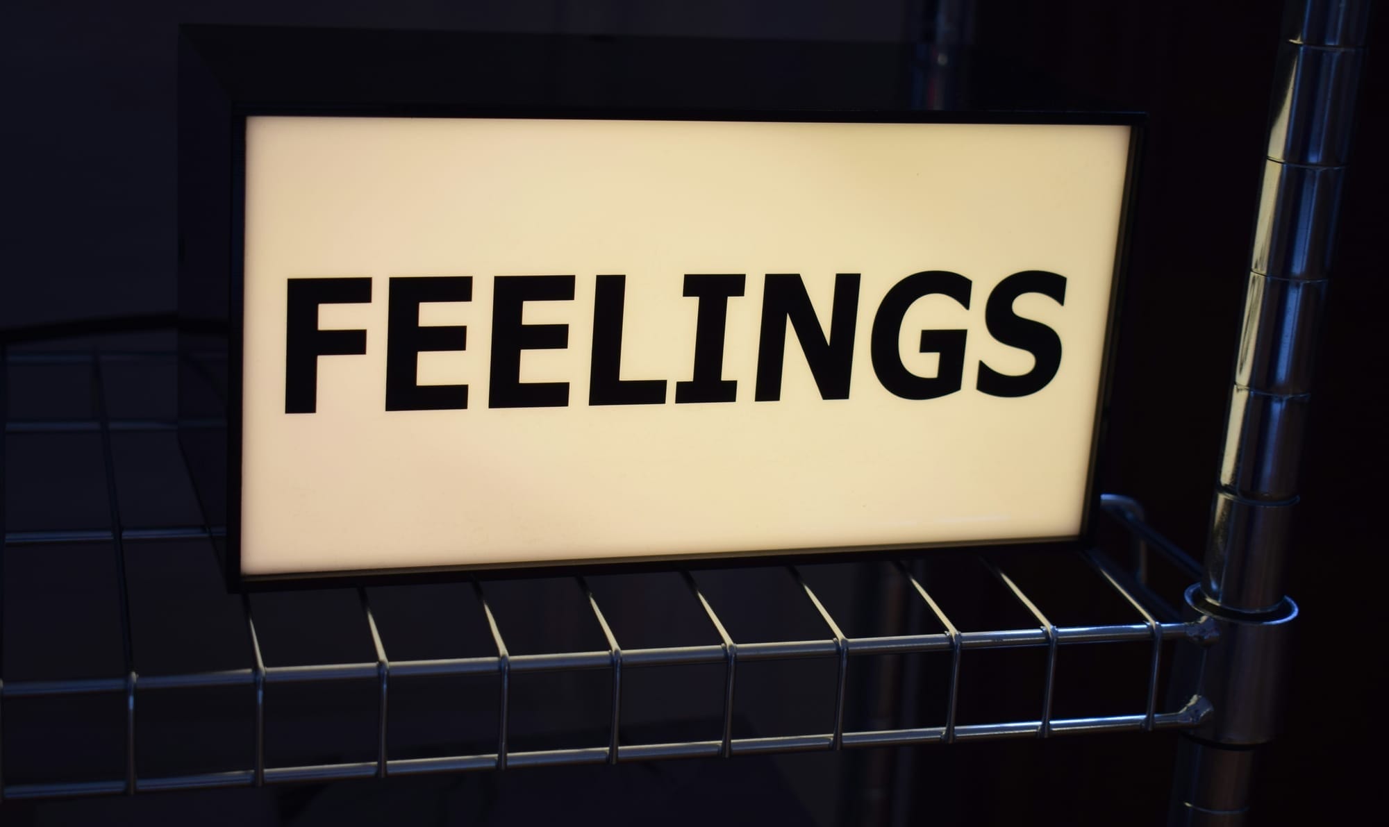 LED signthat says FEELINGS
